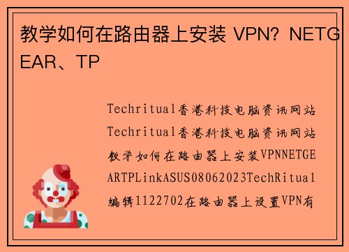 教学如何在路由器上安装 VPN？NETGEAR、TP